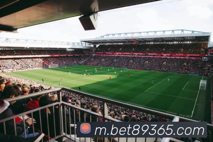 bet365com服务体系